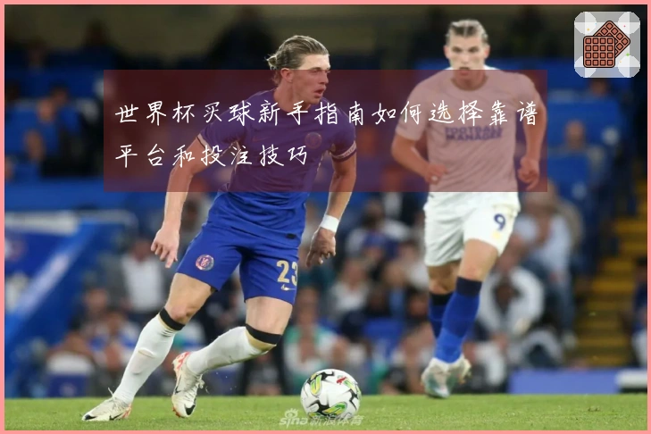 世界杯买球新手指南如何选择靠谱平台和投注技巧